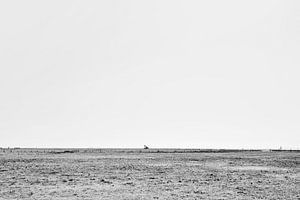 Der einsame Bagger am Meer