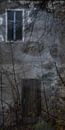 the haunted house by Christine Nöhmeier thumbnail