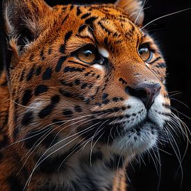 A Panther by PixelPrestige