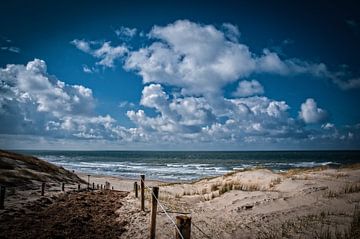 dune transition sur Frans Scherpenisse