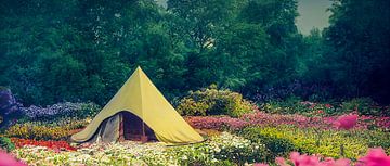 Tent in a garden with flowers illustration by Animaflora PicsStock