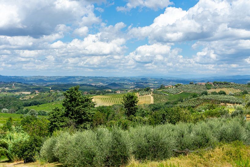 Landschaft der Toskana in Italien von Animaflora PicsStock