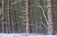 Bomen in de sneeuw van Merijn Loch thumbnail