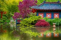 JAPANSE TUIN