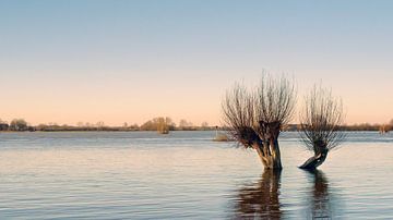 Hoog water aan de IJssel bij Gorssel van Gert van Eck