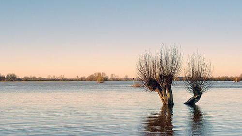 High water on the river IJssel near Gorsel