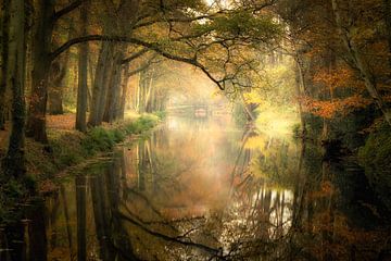 "Autumn Reflections" van Karel Ton