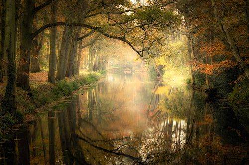 Herbstliche Reflexionen;