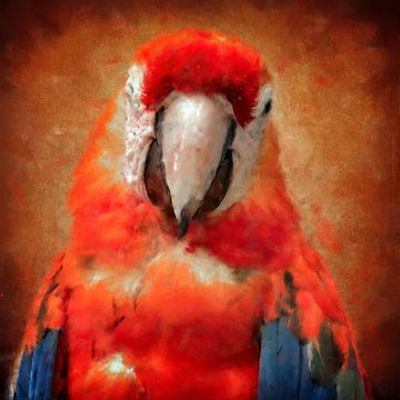 Papagaai geeft een knipoog (kunst, schilderij) van Art by Jeronimo