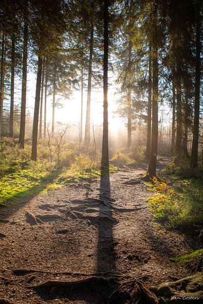 Let the sun guide you by Ken Costers