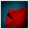 "Imploded Red" by Arne Quinze van Daan Overkleeft