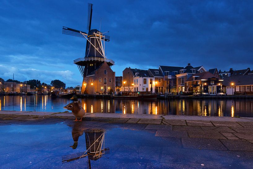 Kwak par Harro Jansz