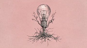 Root of light by Franka Poulain