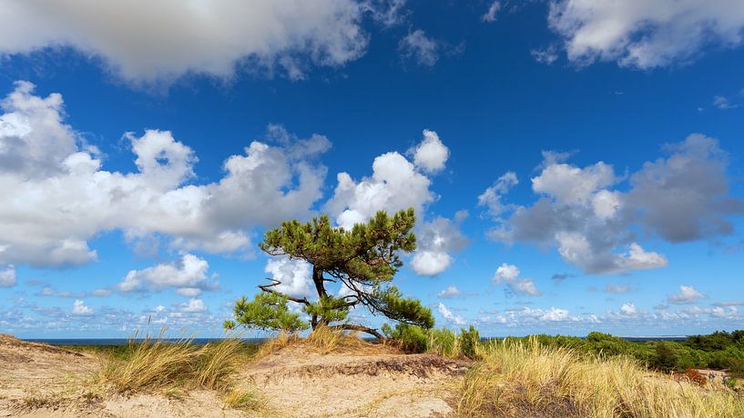 Den Vuurboetsduin Vlieland von R Smallenbroek