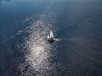 The wind in the sails