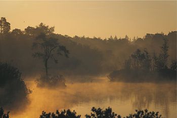 Island in the morning sun