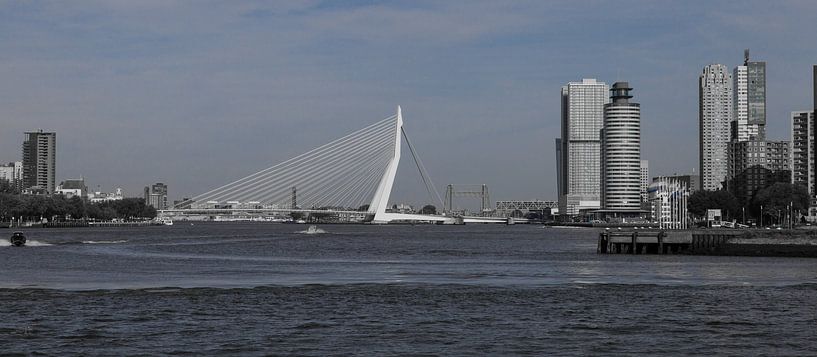 Rotterdam Erasmusbrug by John Ouwens