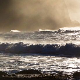 Wellen 2 (Madeira) von Bart Stappers