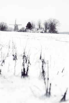 Winters Landschap van Richard Mijnten