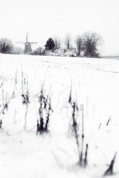 Winterlandschaft von Richard Mijnten