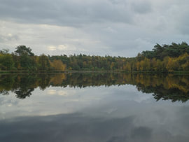 Autumn in Holtingerveld – Drenthe (Netherlands) by Marcel Kerdijk
