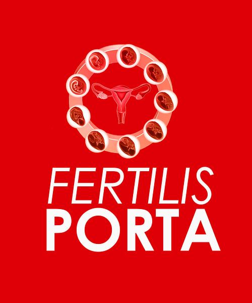 FERTILIS PORTA von Emelly Velasco