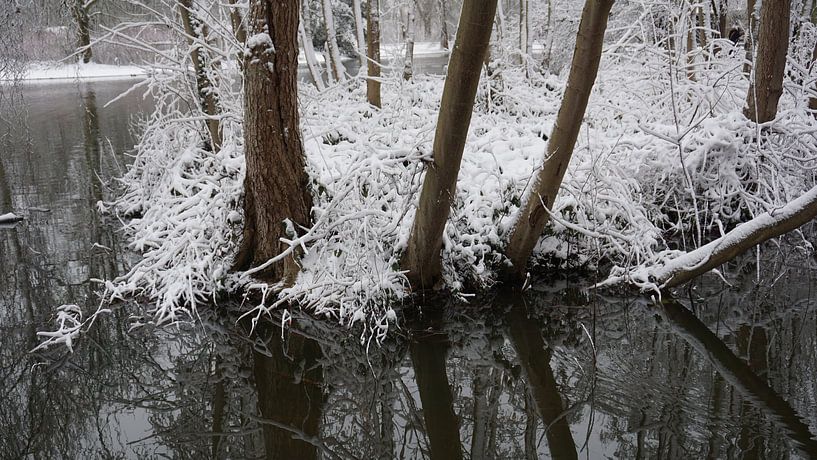 Sneeuw tijd. van fotograaf chaimaa