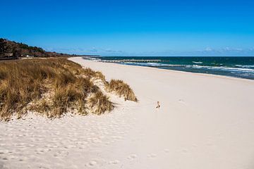 Strand an der Ostseeküste bei Zingst auf dem Fischland-Darß von Rico Ködder