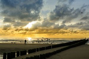 Strand Domburg in avondzon van 7Horses Photography