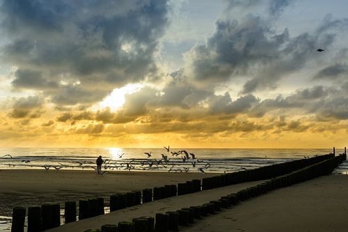 Strand Domburg in avondzon