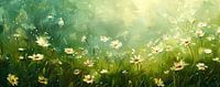 Flowering Fields