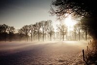 The warmth of winter