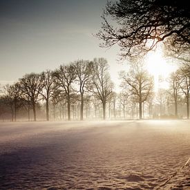 The warmth of winter von Simon Claassen