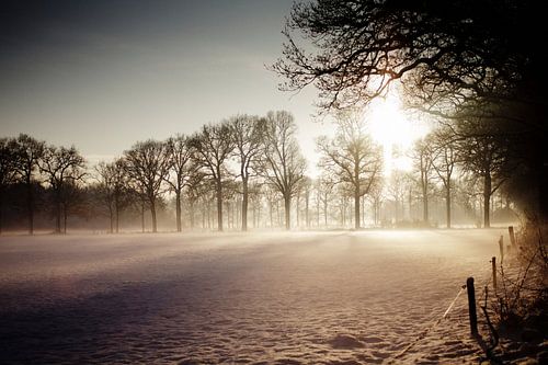 La chaleur de l'hiver