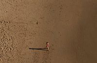 Einsam am Strand im Alentejo von WeltReisender Magazin Miniaturansicht