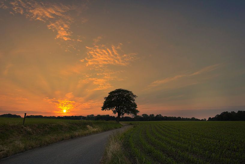 Hezeberweg by peterheinspictures