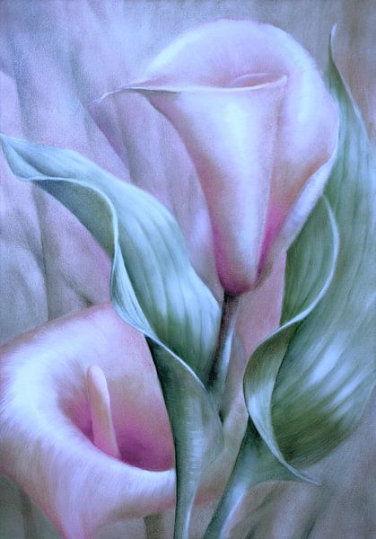 Callas and leaves by Annette Schmucker