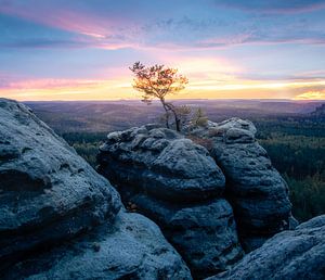 Sonnenuntergang in der Sächsischen Schweiz