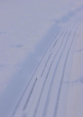 Lijnen in de sneeuw