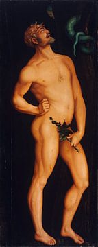 Hans Baldung Grien, Adam - 1525 van Atelier Liesjes