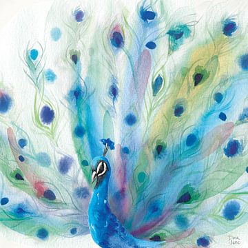Peacock glorie v, Dina June
