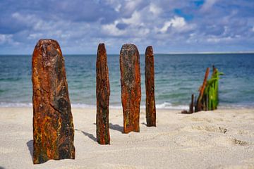 Auf dem Bild sind die alten Buhnen am Strand vom Ellenbogen auf Sylt von HGU Foto