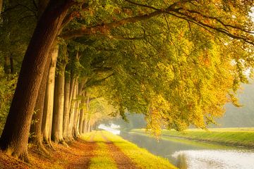 Prachtige herfstfoto van bomen aan het water van KB Design & Photography (Karen Brouwer)