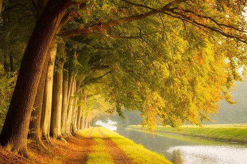 Beautiful autumn photo of trees by the water