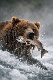 Un ours brun attrape un saumon dans une rivière tumultueuse – un moment naturel explosif plein de puissance, de vitesse et de survie à l'état brut.