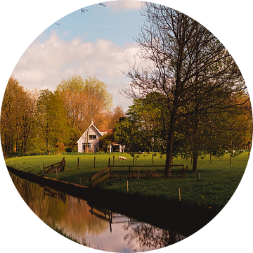 Prachtige en sterk staaltje noord-hollandse landschapjes in de Beemster van FioletS