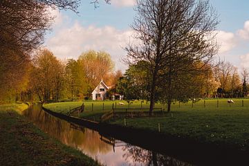 Prachtige en sterk staaltje noord-hollandse landschapjes in de Beemster van FioletS