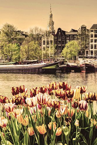 Centre ville d'Amsterdam Pays-Bas Vieux