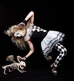 Killer harlequin von Jeroen Gordijn