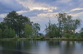 Trees along the water’s edge at Dwingelderveld – Drenthe (Netherlands) by Marcel Kerdijk